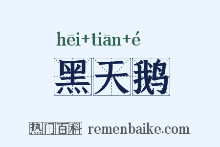黑天鹅是什么意思的图片